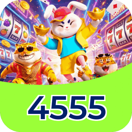 Interface 4555